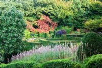 Vue sur Graminées Parterre avec Miscanthus 'Graziella' en premier plan, à Yew Gardens avec Sorbus hupehensis à gauche et Vitis coignetiae poussant si les arbres à l'orée du bois - Veddw House Garden, Monmoutshire, Pays de Galles. Octobre 2010