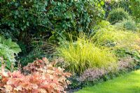 Parterre de feuillage contrasté de Heuchera 'Caramel', Carex elata 'Bowles Golden', Saxifraga umbrosa, Buxus et Hedera helix arborescens - Lipkje Schat Garden