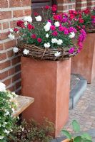 Dianthus - Oeillets dans des paniers sur des socles par porte d'entrée - Scheper Town Garden