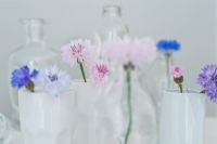 Centaurea cyanus - Bleuets en gobelets blancs et bouteilles en verre
