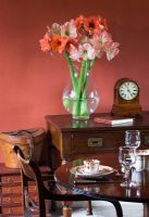 Salle à manger avec vase rempli de fleurs coupées d'Amaryllis - Hippeastrum 'Désir' et 'Chéri'