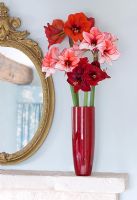 Cheminée avec vase rempli de fleurs coupées d'Amaryllis - Hippeastrum 'Charisma', 'Ferrari' et 'Benfica'