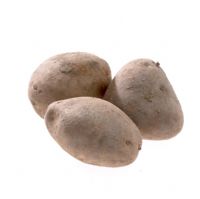 Solanum tuberosum - Pomme de terre 'Agria'