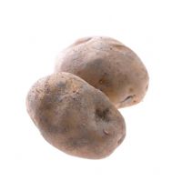 Solanum tuberosum - Pomme de terre 'Agria'