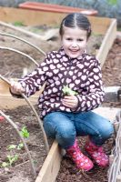 Jeune fille plantant Lactuca sativa - Laitue 'Tom Thumb' dans un parterre de fleurs surélevé