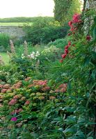 Un parterre de fleurs pérenne mixte avec Sedum, bénéficiant de la chaleur apportée par un mur de silex du Sussex.