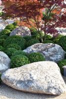 Jardin de style japonais avec des rochers
