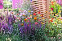 Parterre de fleurs d'été chaud par clôture