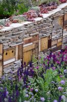 Mur d'habitat avec abris anti-insectes intégrés à la Banque Royale du Canada avec le RBC New Wild Garden, médaillé d'argent doré - RHS Chelsea Flower Show 2011