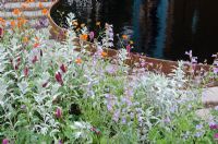 Parterre de fleurs d'été en fleurs par étang