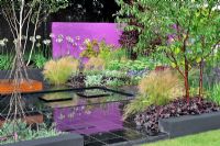Plantation luxuriante et vibrante de jaune et d'or contrastant avec un mur violet. Jardin 'Sauvez une vie, laissez tomber le couteau'. Exposition florale RHS Tatton Park 2011