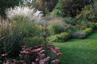 Jardin d'automne avec Miscanthus sinensis 'Undine', Sedum 'Matrona' et Aster