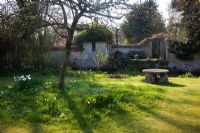 Jardin de printemps entouré de mur de torchis avec Narcisse - dérives de la jonquille - Mill House, Wylye Valley, Wiltshire