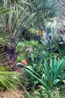 Jardin tropical urbain avec Butia capitata à droite, Beschorneria yuccoides - Beechwell House, Bristol
