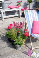 Transat bleu et rose sur terrasse en bois avec des pots dont des géraniums