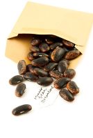 Graines de haricot Runner 'Streamline' tombant d'une enveloppe en papier brun avec une étiquette manuscrite.