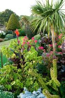Le parterre de l'île dans le jardin avant est plein d'exotiques colorés, y compris un haut Cordyline, Cannas à feuilles violettes, Cleomes roses, Eucomis et Abutilon pictum panaché 'Thompsonii' - Ile de Wight, Royaume-Uni