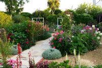 Jardin en contrebas a un chemin de pierre central qui passe entre un cadre métallique supportant les roses grimpantes, avec une masse de vivaces colorées et annuelles tout autour, y compris Dahlias, Cleomes, Lobelia cardinalis et Verbena bonariensis - Isle of Wight, UK