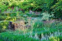 Vue sur le Parterre de Graminées avec Phalaris 'Feesey' et Stipa gigantea, et Hedge Garden jusqu'à la ruine et le bois. Boîte haie au premier plan. Yew Hedges - Veddw House Garden, août.