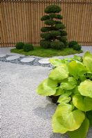 Hosta planté à côté d'un chemin de gravier et de pierre de granit avec des boules Ilex crenata et Buxus sempervirens taillées dans les nuages, soutenu par une clôture en bambou dans le jardin à thème japonais - 'Less and More' garden - RHS Hampton Court Flower Show 2011