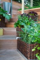 Jardinières en saule tressé de légumes et de feuilles de salade sur un escalier en bois