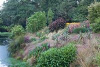 Plantation de style africain autour du lac avec des yuccas, Canna 'Pink Perko', 'Scarlet' et 'Black Knight', Phasion blonde, Stipa tenuissima 'Bronze' et Anamanthele lessoniana - Bonython Estate Gardens, Cornwall
