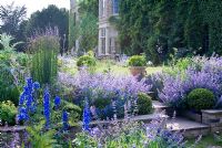 Étapes menant du jardin bleu - les plantes comprennent la népeta - la menthe des chats, les delphiniums et les géraniums
