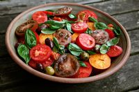 Salade de tomates aux fruits du potager - rouge - Alicante, rouge-violet foncé 'Paul Robeson', jaune - 'Native Sun'