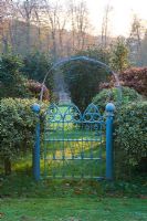 Jardin avant avec portail en métal bleu, Ilex aquifolium 'Argentea marginata pendula'