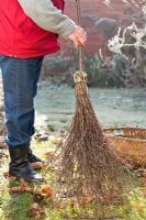 Fabrication d'un balai en bouleau - homme rangeant les feuilles de la pelouse à l'aide d'un balai en bouleau nouvellement fabriqué.