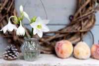 Arrangement de fleurs d'hiver avec Eucharis blanc et pommes sucrées