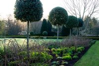 Les plates-bandes herbacées de chaque côté de la pelouse de croquet sont dotées de Quercus ilex standard - Chênes verts sous-plantés de Crambe cordifolia, de marguerites blanches, de Nepeta 'Six Hills Giant', de Stemmacantha centaureoides et de Lychnis chalcedonica poussant sur des supports de noisetiers tissés. Cadre standard Viburnum tinus descend vers un jardin inférieur - Melplash Court, Bridport, Dorset, UK