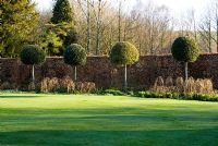 Les plates-bandes herbacées sont dotées de Quercus ilex standard - Chênes verts avec des supports de noisetier tissés soutenus par Fagus - Haie de hêtres - Melplash Court, Bridport, Dorset, UK