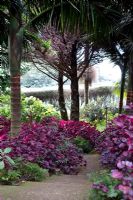 Jardins tropicaux de Monte Palace, Madère