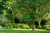 Jardin avec de grands arbres, pelouse et un parterre de fleurs vivaces avec Papaver et un Thuya