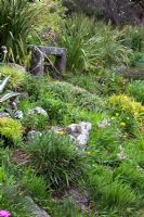 Jardin en contrebas, Quinta Palheiro, Funchal, Madère