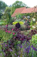 Vue sur le jardin de coupe avec Dahlias et annuelles - Ulting Wick, Essex