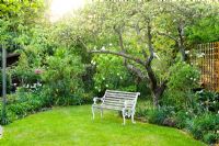 Un coin de jardin avec pelouse, ancien pommier avec accessoire en bois, siège de jardin et parterres de fleurs et parterres intensément plantés - Meredith Lloyd-Evans, Barnabas Road, Cambridge.