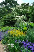 Parterre herbacé avec Geranium x magnificum, Allium nigrum, Lysimachia punctata, aconitums et nepeta. Cornus kousa en arrière-plan. Jardin Nymans, Sussex.