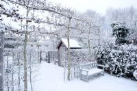 Jardin de ville formel avec première neige. Pavillon d'été, érables des champs et banc blanchis - Cambridge