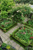 Vue élevée du jardin de la ville formelle avec Rosa 'Meg' poussant sur des arches sur le chemin avant. Dianthus - Sweet williams et Digitalis - Foxgloves plantés dans des parterres de fleurs bordés de boîtes - Rhadegund House, New Square, Cambridge.