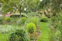 Voies herbeuses et parterres de Stipa gigantea, Molinia arundinacea, Chasmanthium latifolium et Prunus domestica 'Opal' - Ruinerwold Garden