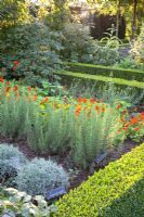 Rosmarinus, Lavandula et Tropaelum majus - Huys en Hof