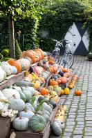 Affichage de citrouilles et courges à vendre - Huys en hof