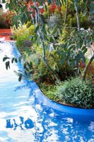 Piscine peinte en bleu avec des eucalyptus - 'Le jardin australien présenté par les jardins botaniques royaux de Melbourne' - Médaillé d'or, RHS Chelsea Flower Show 2011