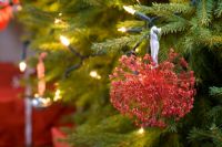 Faire des décorations d'arbre de Noël faites maison avec des têtes de semences pulvérisées - La décoration finie