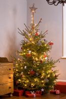 Faire des décorations d'arbre de Noël faites maison avec des têtes de semences pulvérisées - L'arbre fini avec des décorations