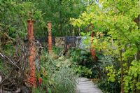 Jardin contemporain saisissant avec une passerelle en bois, des totems en terre cuite, des racines d'arbres sculpturales et des gabions de fil remplis de pierres et de galets contrastants. La plantation comprend le ginkgo, les herbes, les fougères, les ligules et les rodgersia