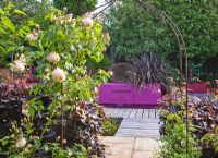 Vue à travers l'arche métallique avec Rosa passé violet Fagus - Haie de hêtre à la piscine avec mur rose, Phormium et cascade