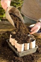 Semer des fèves en rouleaux de loo recyclés. - remplissage des rouleaux de papier hygiénique avec du compost